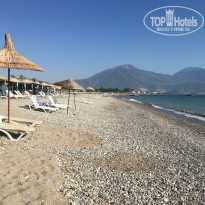 фото из отзыва ID 2138375