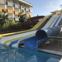 фото из отзыва ID 2138429