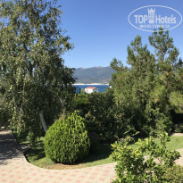 фото из отзыва ID 2138475