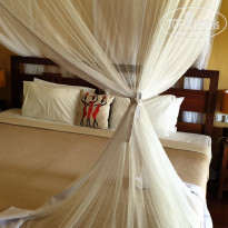 фото из отзыва ID 2138419