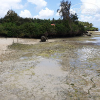 фото из отзыва ID 2138419