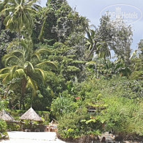 фото из отзыва ID 2138419