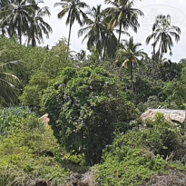 фото из отзыва ID 2138419