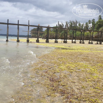 фото из отзыва ID 2138419