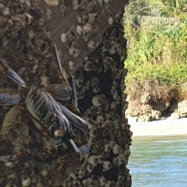 фото из отзыва ID 2138419