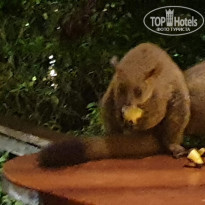 фото из отзыва ID 2138419