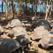 фото из отзыва ID 2138419