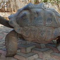 фото из отзыва ID 2138419