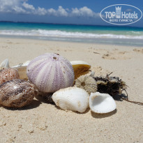 фото из отзыва ID 2138419