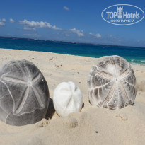 фото из отзыва ID 2138419