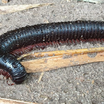 фото из отзыва ID 2138419