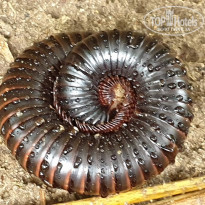 фото из отзыва ID 2138419