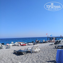 фото из отзыва ID 2138594