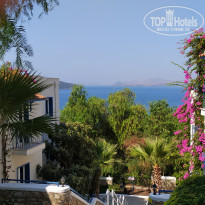 фото из отзыва ID 2138536