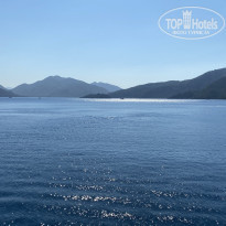 фото из отзыва ID 2138770