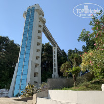 фото из отзыва ID 2138773