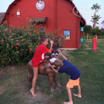 фото из отзыва ID 2132905