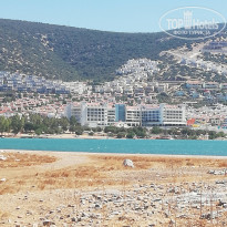 фото из отзыва ID 2138884