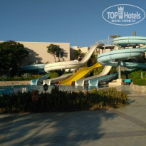 фото из отзыва ID 2138871