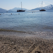 фото из отзыва ID 2138929