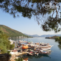 фото из отзыва ID 2138963