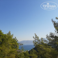 фото из отзыва ID 2138963