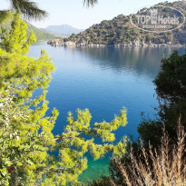 фото из отзыва ID 2138963