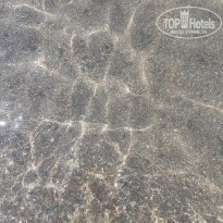 фото из отзыва ID 2138963