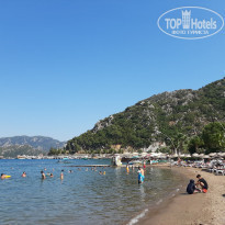 фото из отзыва ID 2138963