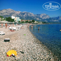 фото из отзыва ID 2138970