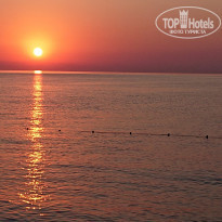 фото из отзыва ID 2139047