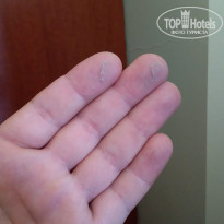 фото из отзыва ID 2138822