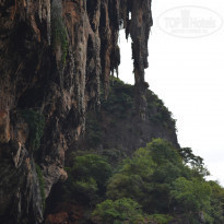 фото из отзыва ID 2139130