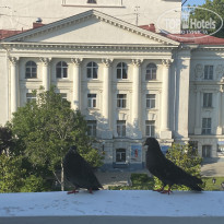 фото из отзыва ID 2139144