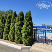 фото из отзыва ID 2138955