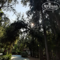 фото из отзыва ID 2139338