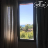 фото из отзыва ID 2139394