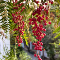 фото из отзыва ID 2139478