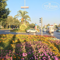 фото из отзыва ID 2139462