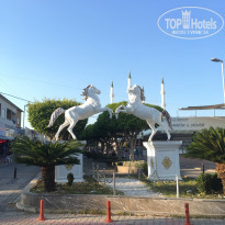 фото из отзыва ID 2139462