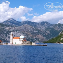 фото из отзыва ID 2139540