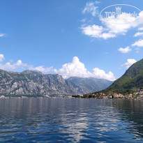 фото из отзыва ID 2139540