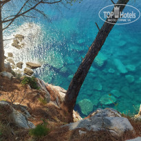 фото из отзыва ID 2139540