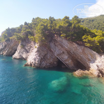 фото из отзыва ID 2139540