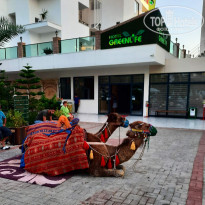 фото из отзыва ID 2139592