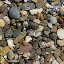фото из отзыва ID 2139664