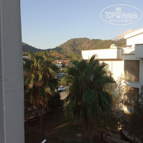 фото из отзыва ID 2139891