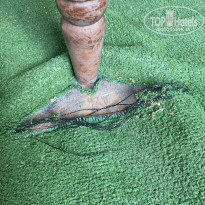 фото из отзыва ID 2139919