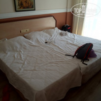 фото из отзыва ID 2137071