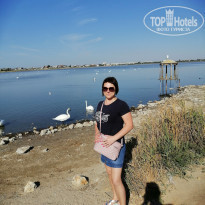 фото из отзыва ID 2137081